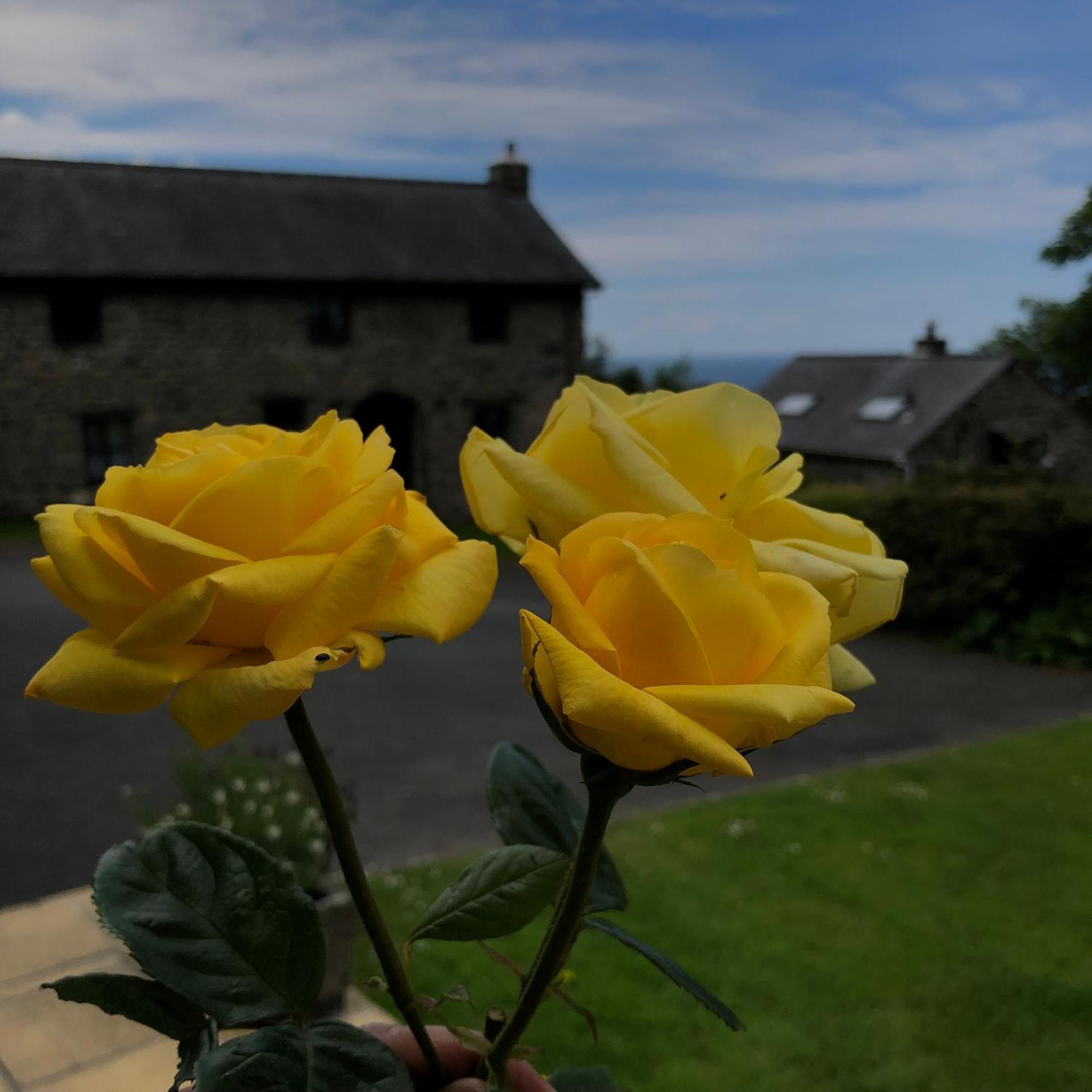 The Old Farmhouse B&B Dyffryn Ardudwy Buitenkant foto