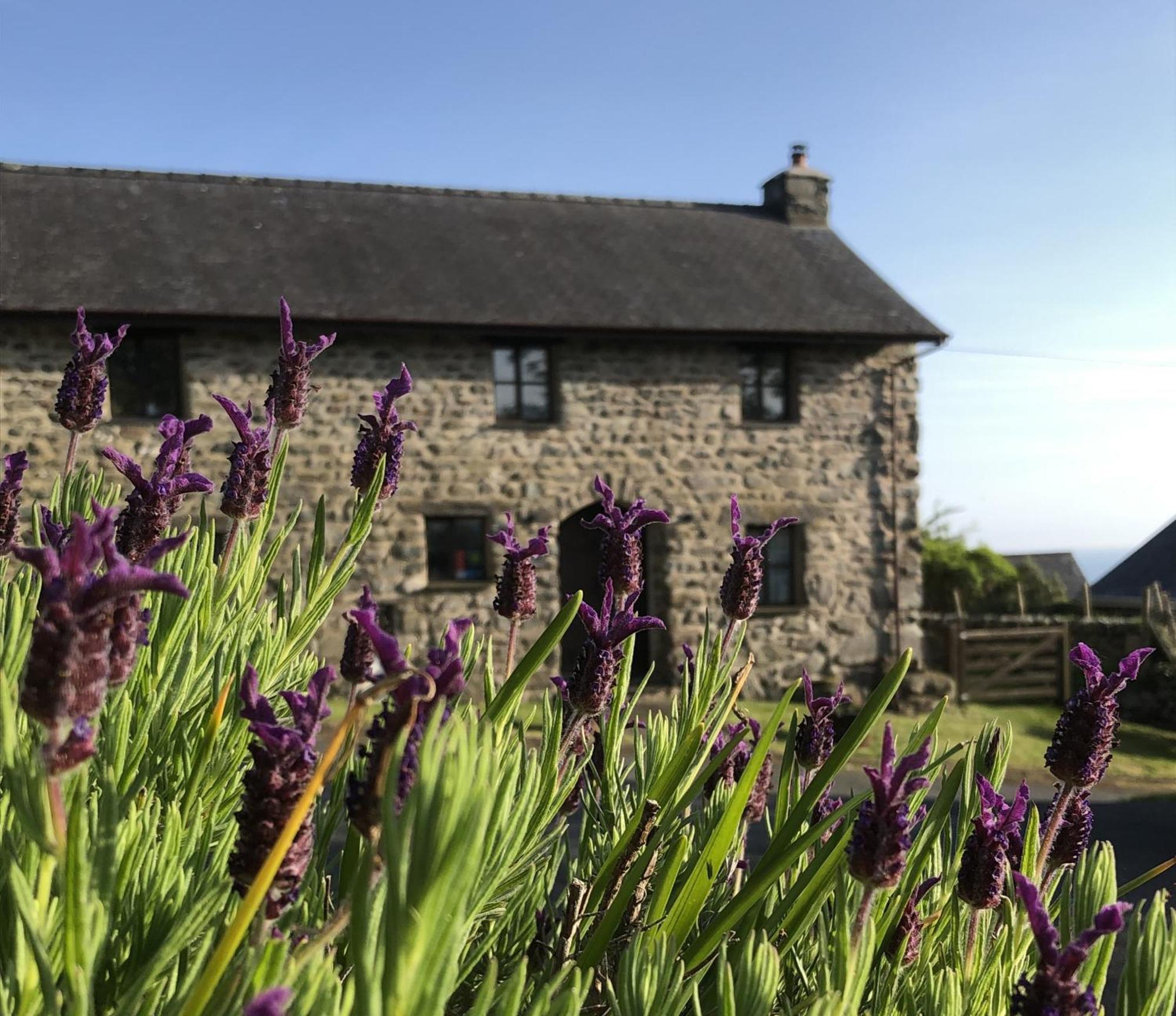 The Old Farmhouse B&B Dyffryn Ardudwy Buitenkant foto